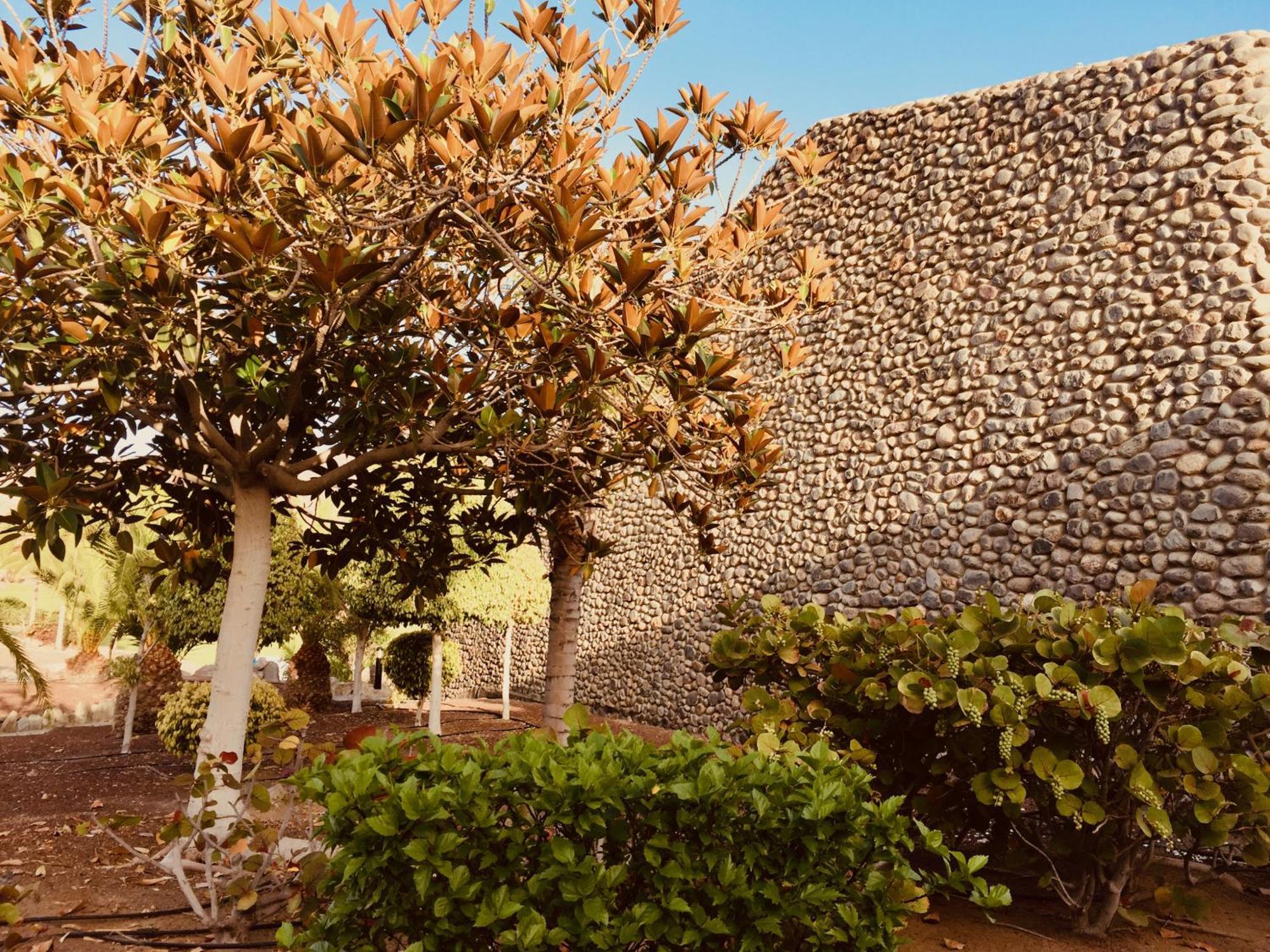 M&F Golf Views. Walk To Beach La Playa de Tauro Екстериор снимка